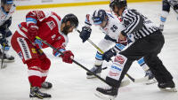 hokej olomouc 22 PP 9761
